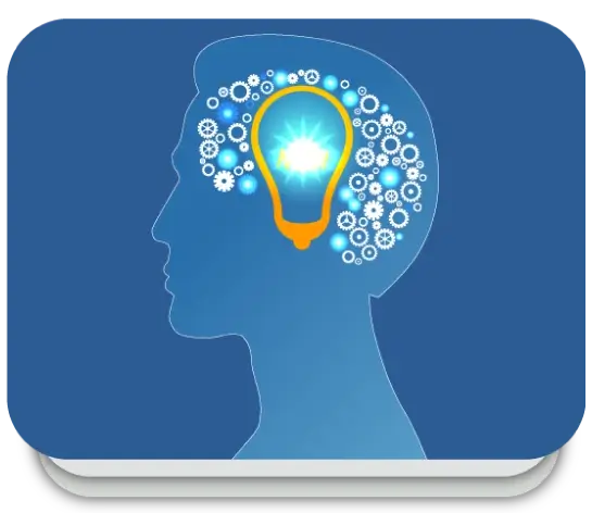 Customer Insights